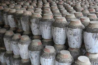 上海非遗︱上海黄酒虽是工业化生产,但沿用千年酿造技艺